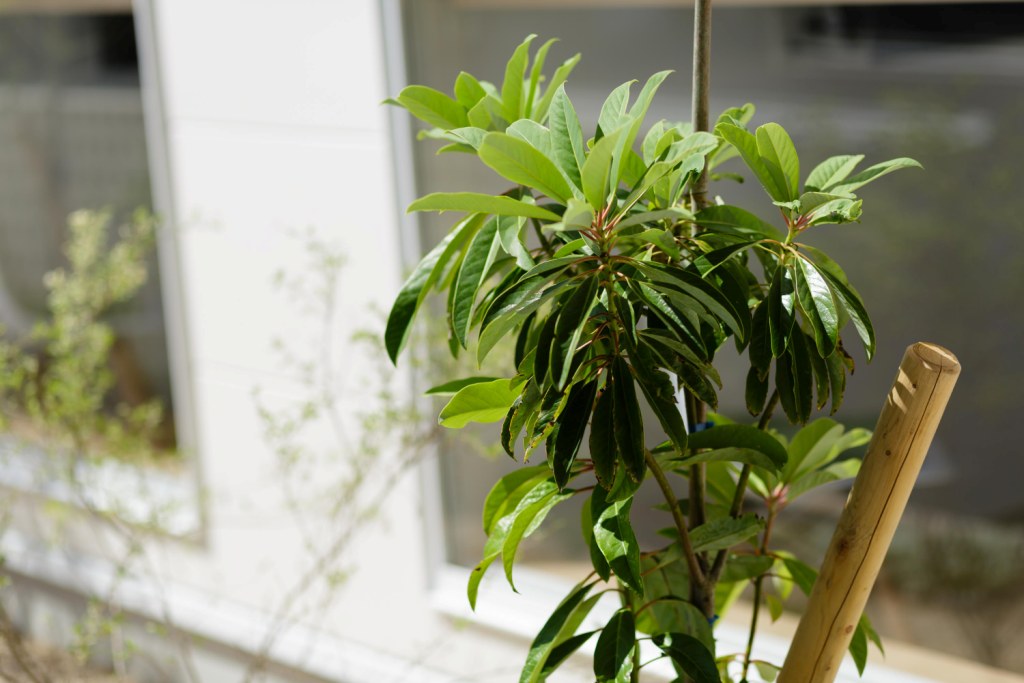 3S7A2798_sample（本番使用不可）