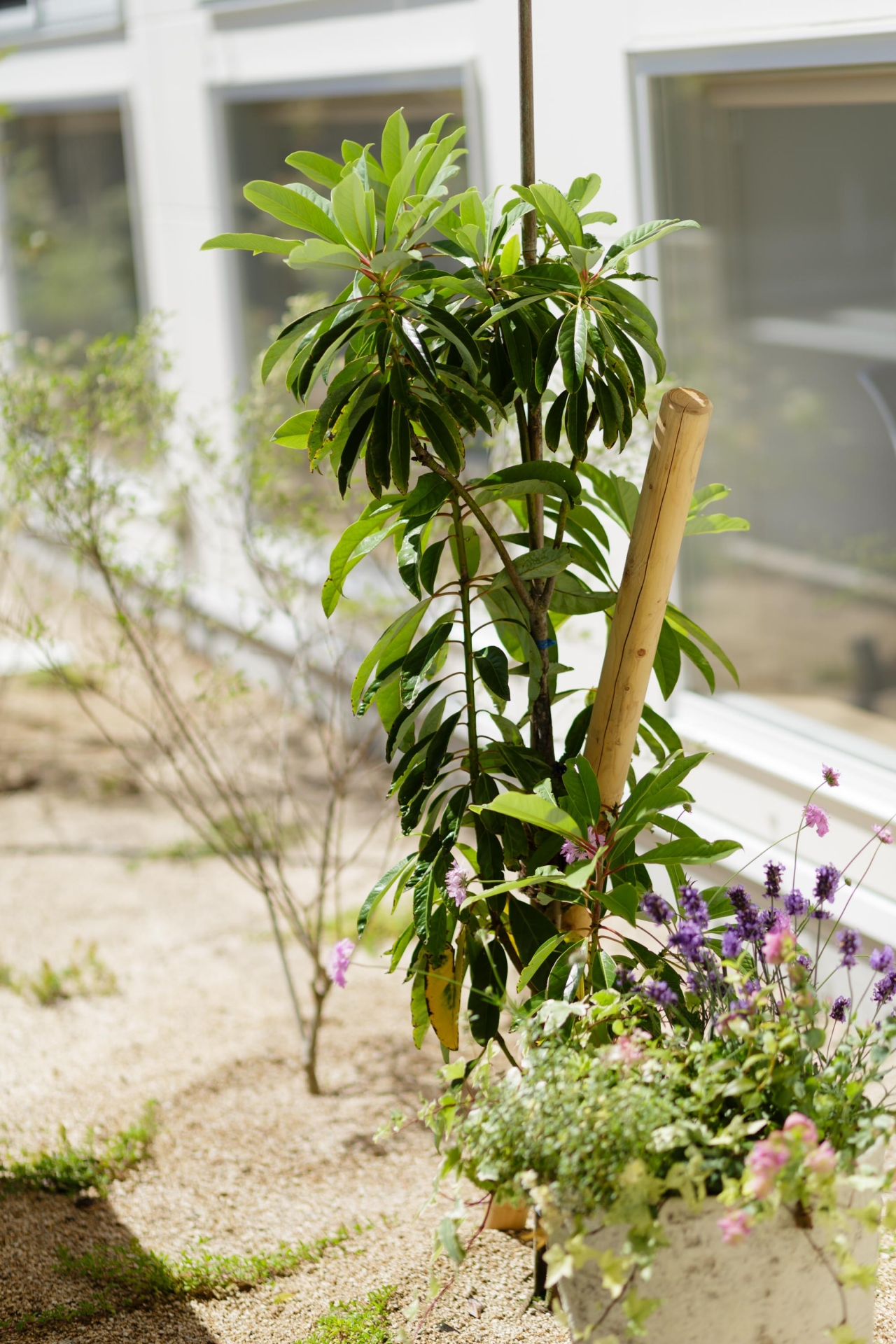 3S7A2801_sample(本番使用不可)